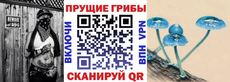цена   Чехов  Псилоцибиновые грибы ЛСД 